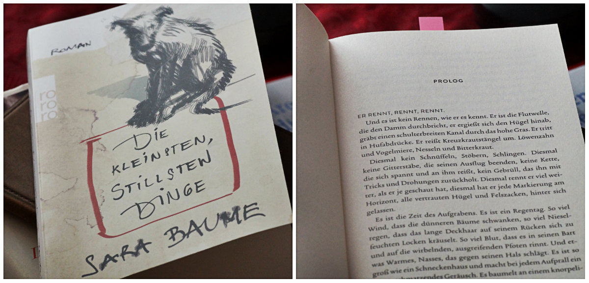 Wo Stille Wohnt Und Glanz Marz 2018