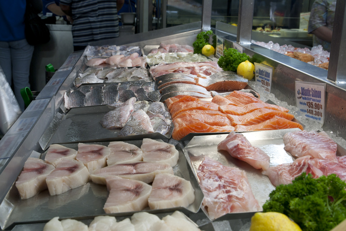 PawPrints in Pizza Sauce Peter's Fish Market Gold Coast