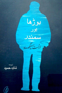 urdu novel