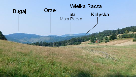 Widok z hali Przegibka.