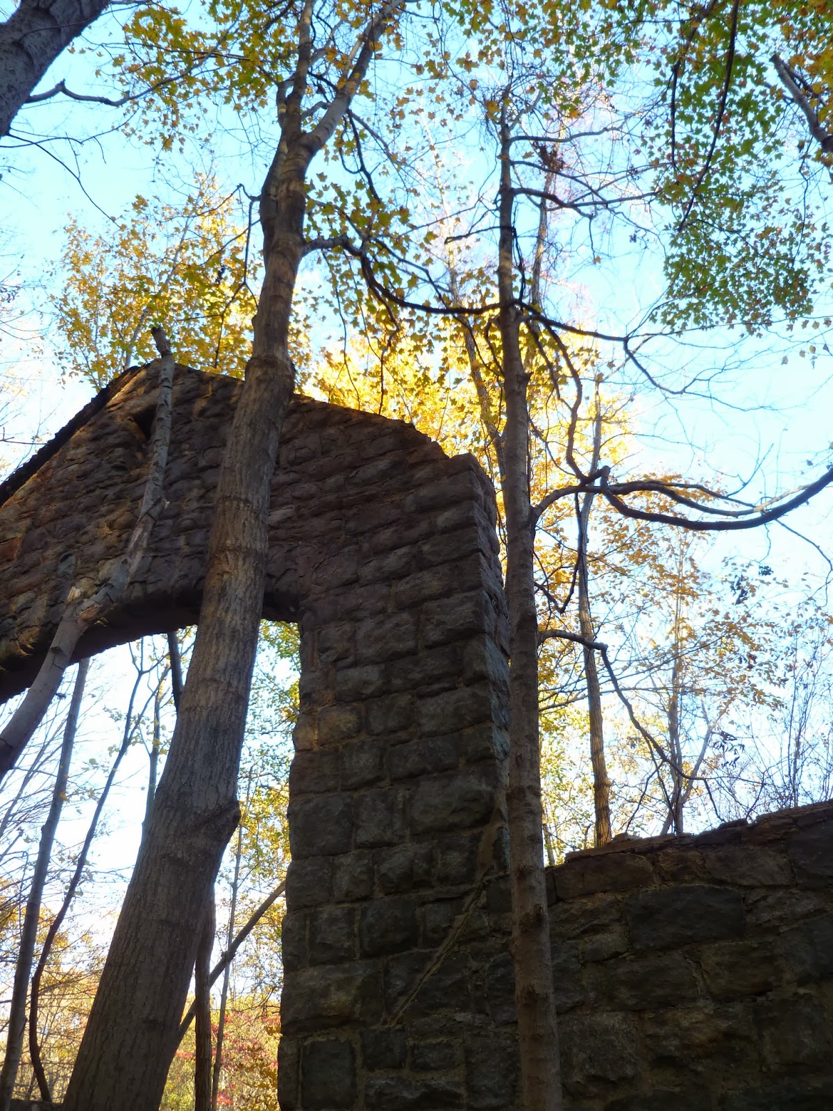B. Avery Syrig: A Visual Adventure: Fall Color on Breakneck Ridge