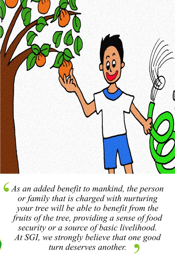 Plant a tree Ten good reasons we should plant a tree Sustainable