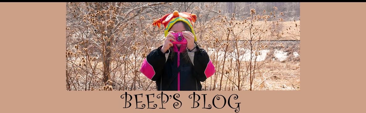 Beep's Blog