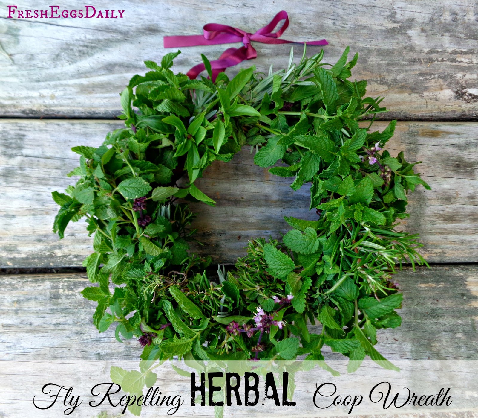 Popular How to keep flies away from your chicken coop Canik