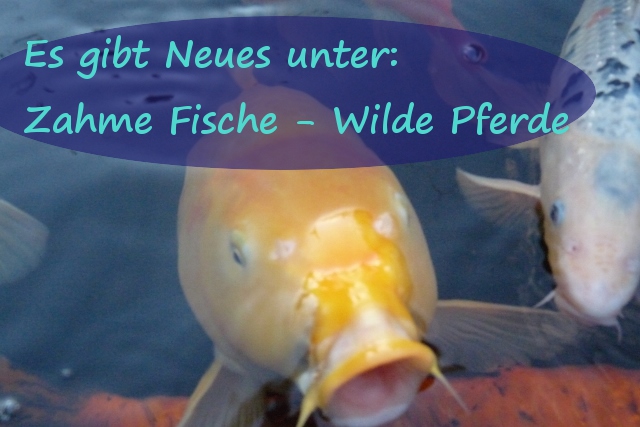 Seifenmanufaktur Sauberkunst Review Seifenmanufaktur Sauberkunst