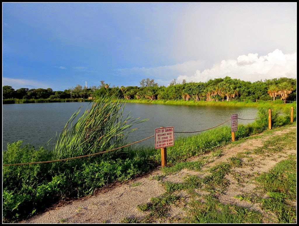 Bird Tweets The Shipley Trail along the Bailey Homestead Preserve