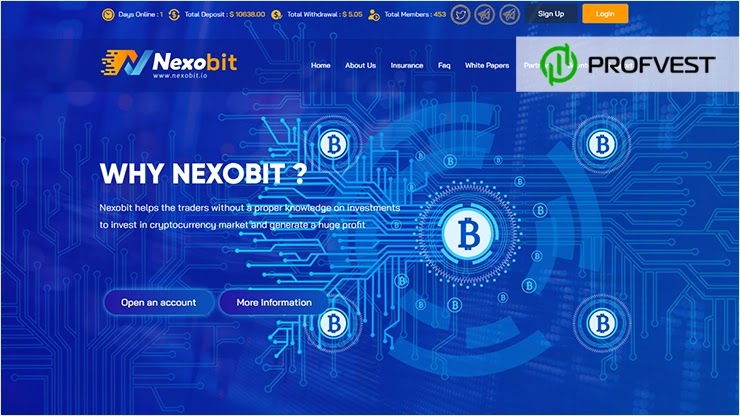 NexoBit: обзор и отзывы о nexobit.io (HYIP платит) NexoBit обзор и отзывы HYIP-проекта