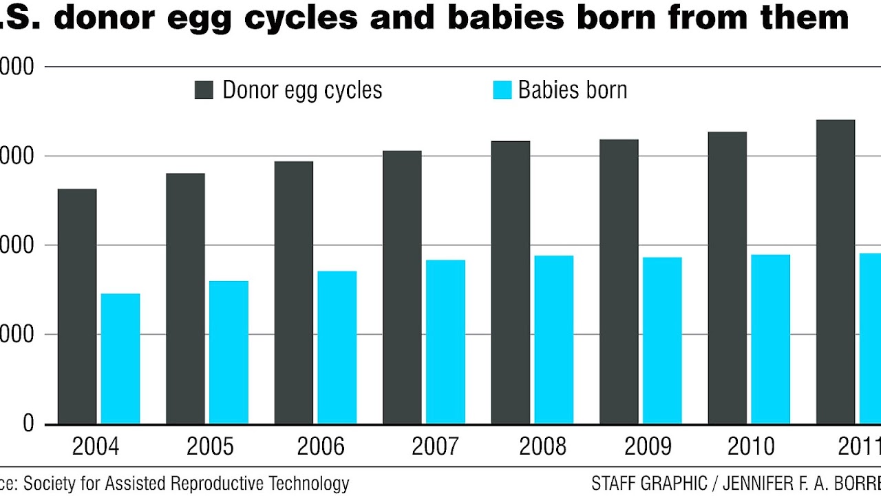 Egg Donation Risks And Side Effects Effect Choices