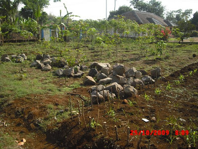 Lahan Perkebunan, Sarana Latihan Keterampilan Anak