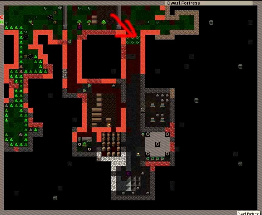 Dwarf Fortress Урок 5 "Защита крепости"