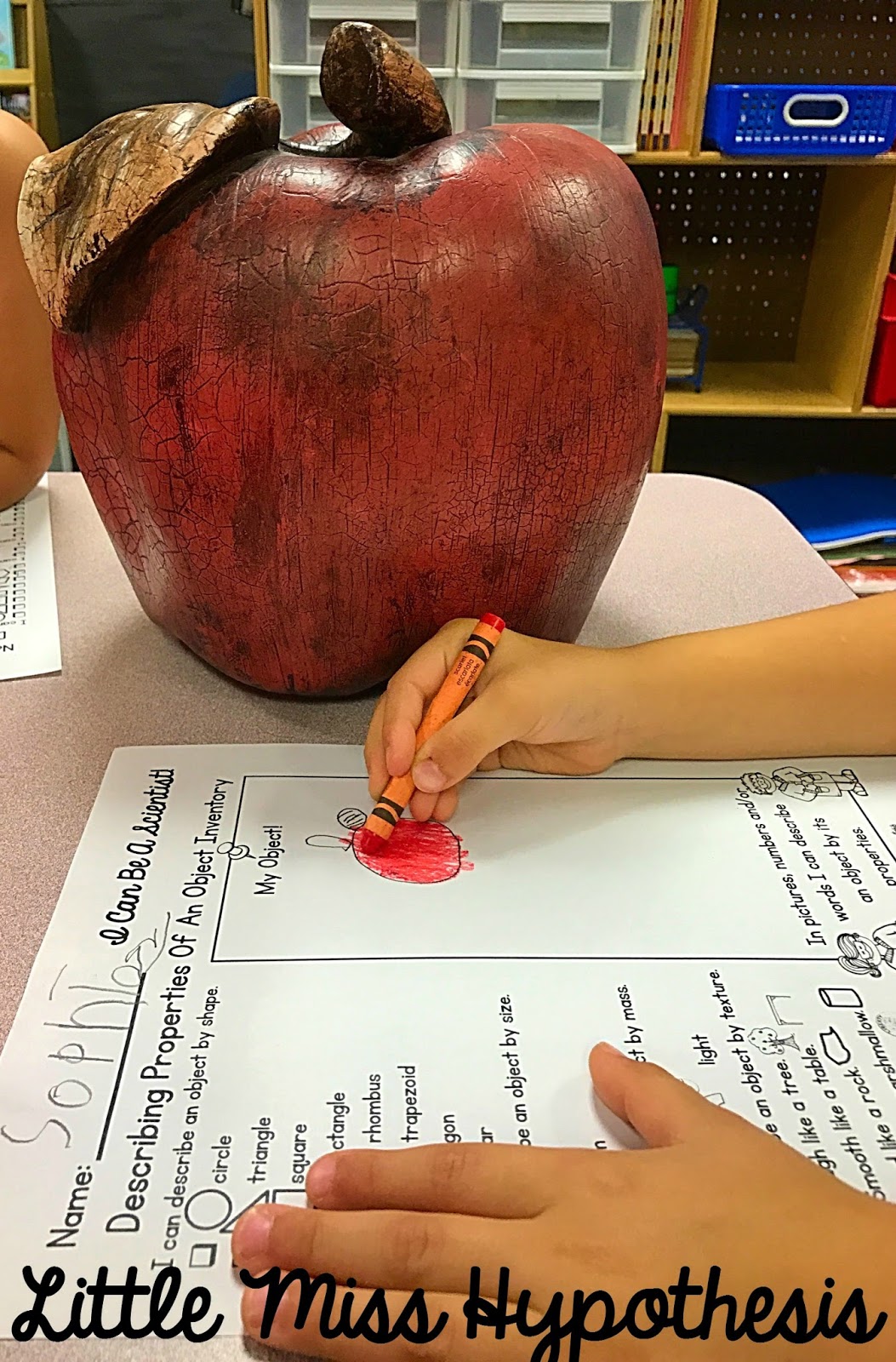 Little Miss Hypothesis - Lessons from the Science Lab: Describing ...