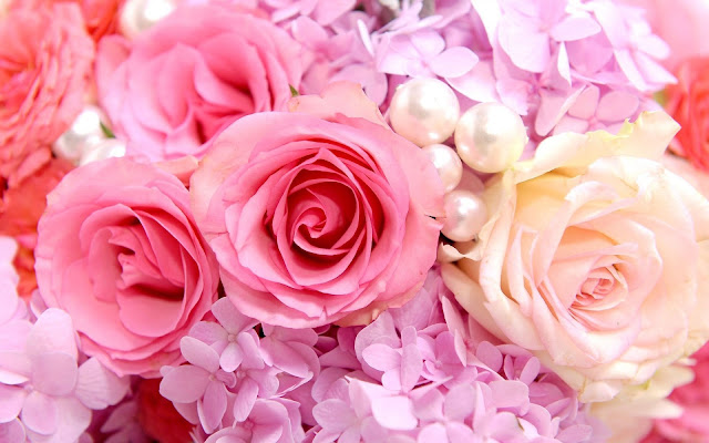 Flores de Colores Imágenes de Flores para San Valentin