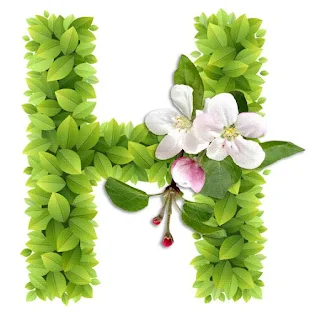 Abecedario con Hojas Verdes y Flores Blancas. Alphabet with Green Leaves and White Flowers.