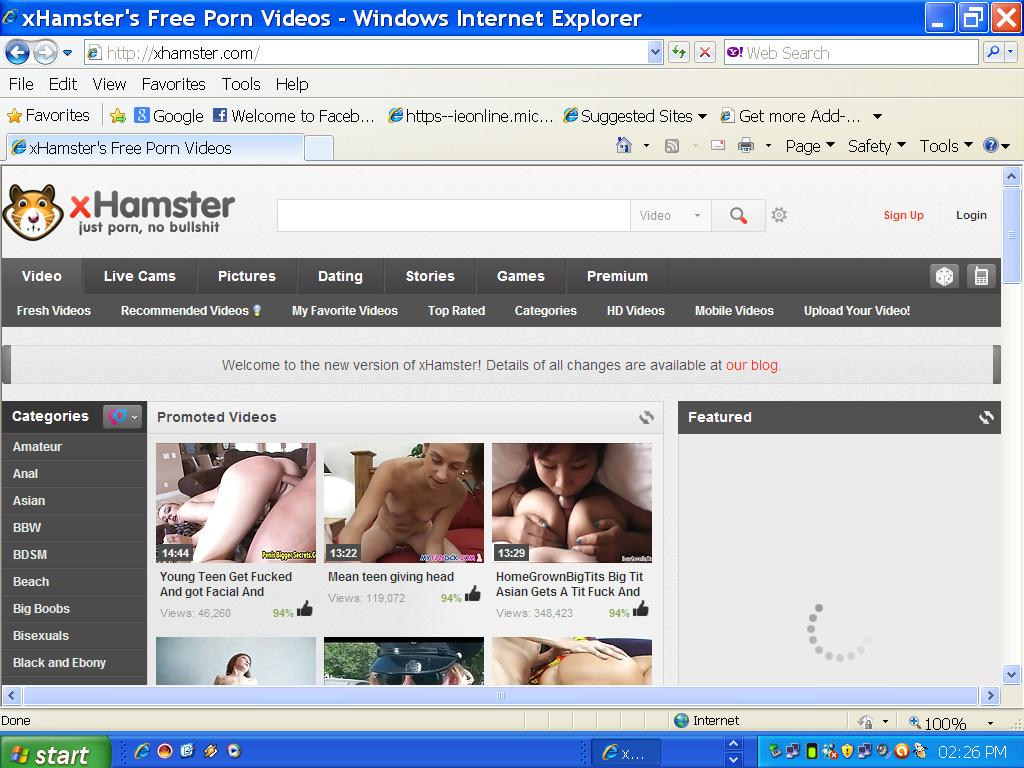 Hamster Porn Website - Telegraph.