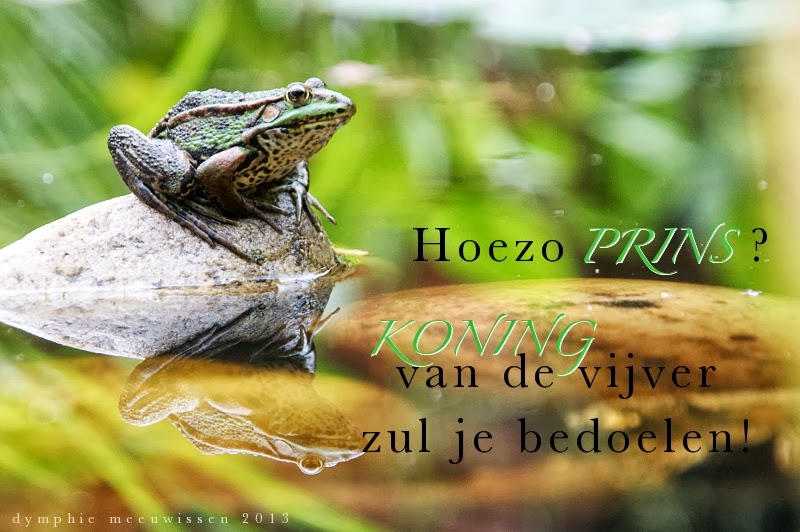 de kat die krabt de krullen van de trap: groene kikker in de hoofdrol