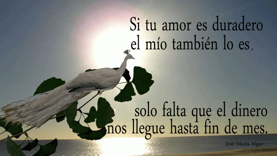 Resultado de imagen de gifs mes de maria