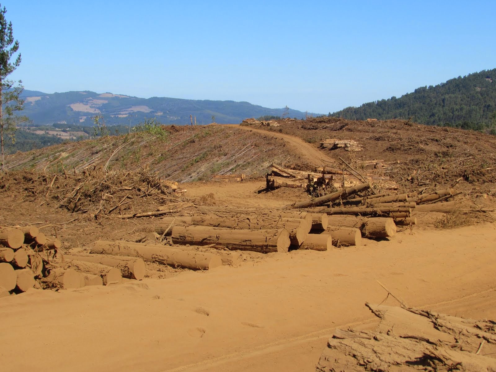 Fundo de la Forestal Arauco-Valdivia, Territorio Ancestral de la Comunidad Mapuche de Lumaco