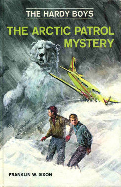 The Arctic Patrol Mystery