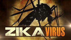 Zika Virus Symptoms Arrival of the Last United States