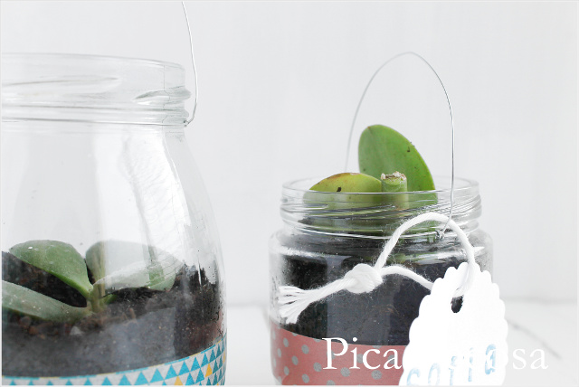 tutorial-hacer-regalo-companeros-colegio-cumpleanos-planta-en-bote-cristal-con-asa-alambre-diy