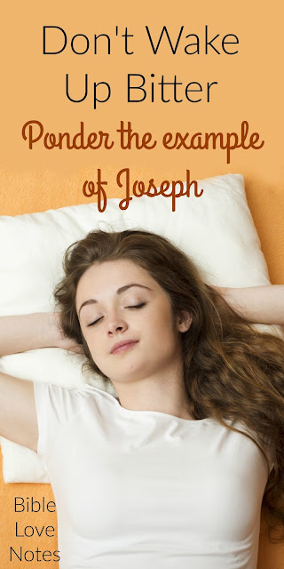 Overcoming Bitter, Toxic Thoughts by Pondering the Example of Joseph Overcoming Bitter, Toxic Thoughts by Pondering the Example of Joseph