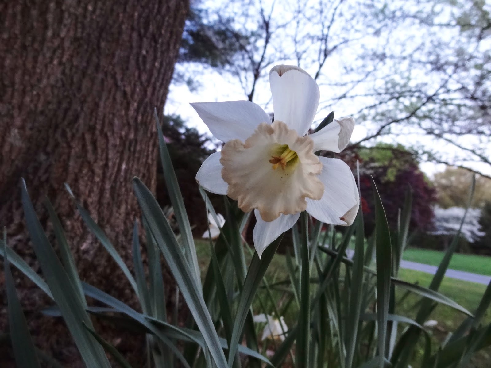 Live and LearnToss and Turn 05/01/2015 06/01/2015