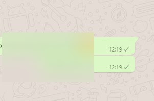 singola spunta grigia spunta grigia