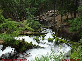 Clearwater Falls Douglas County Oregon