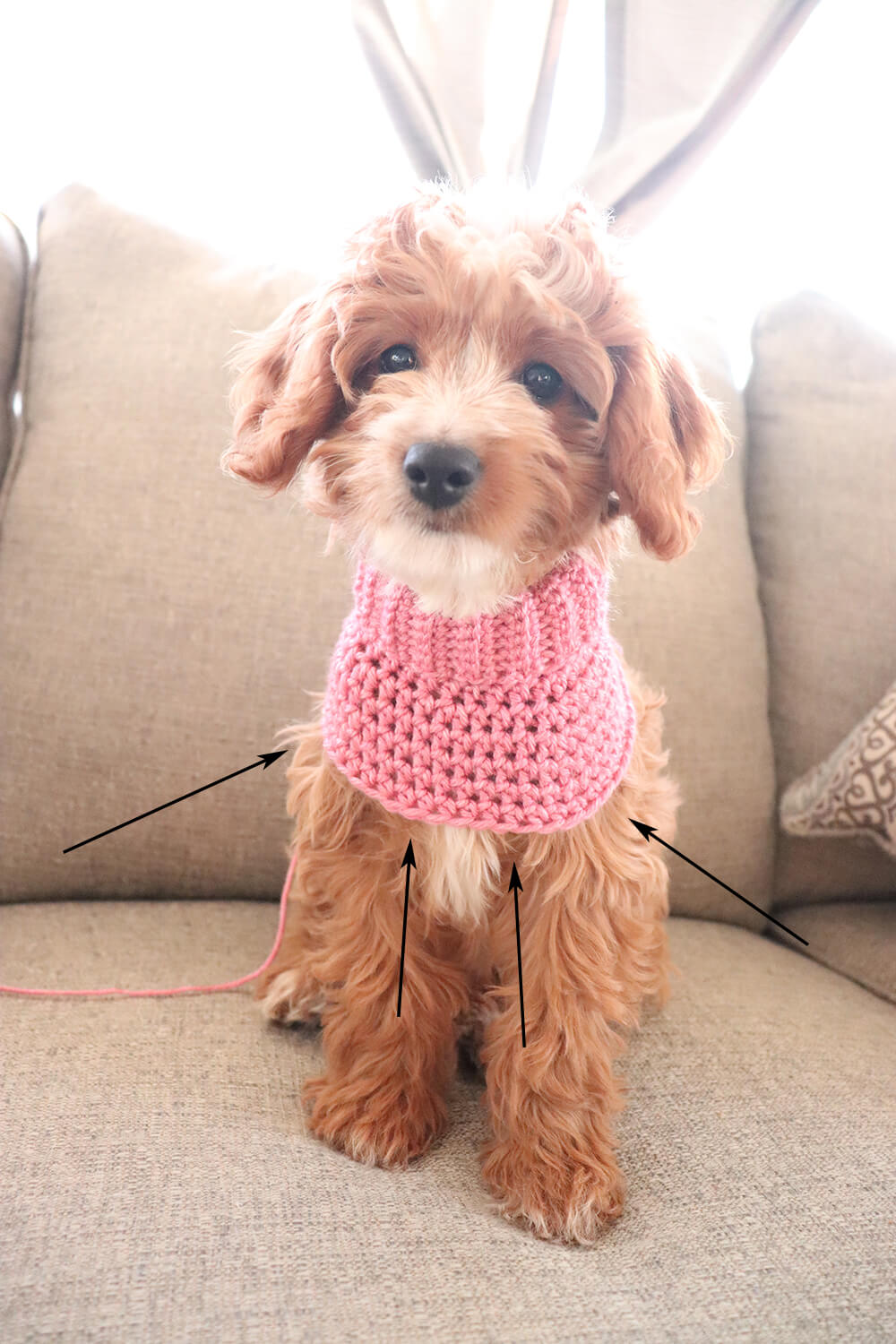 Crochet Basic Dog Sweater Free Step By Step Tutorial Maria s Blue Crochet Basic Dog Sweater Free Step By Step Tutorial Maria s Blue