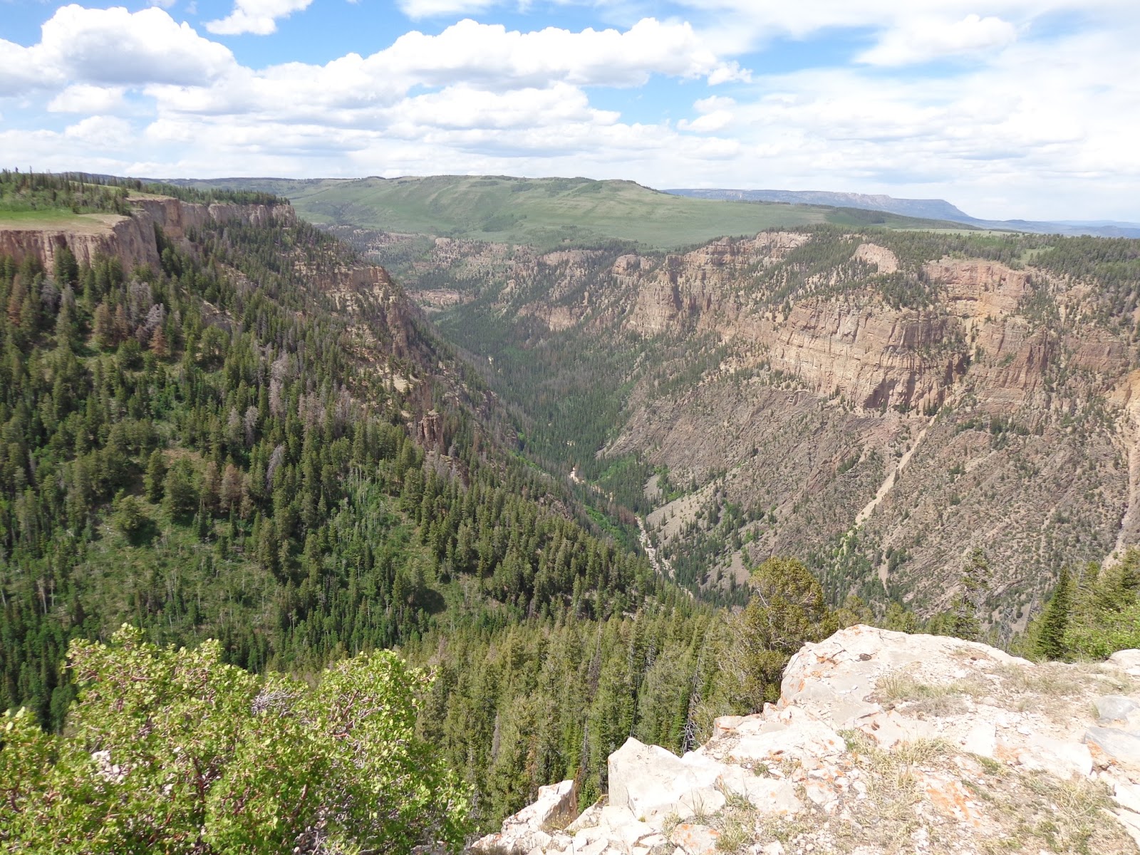 Random Adventuring... Bikepacking Coffee Pot Road into the Flat Tops
