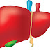 হিউম্যান লিভার কি? ( What is human liver? )