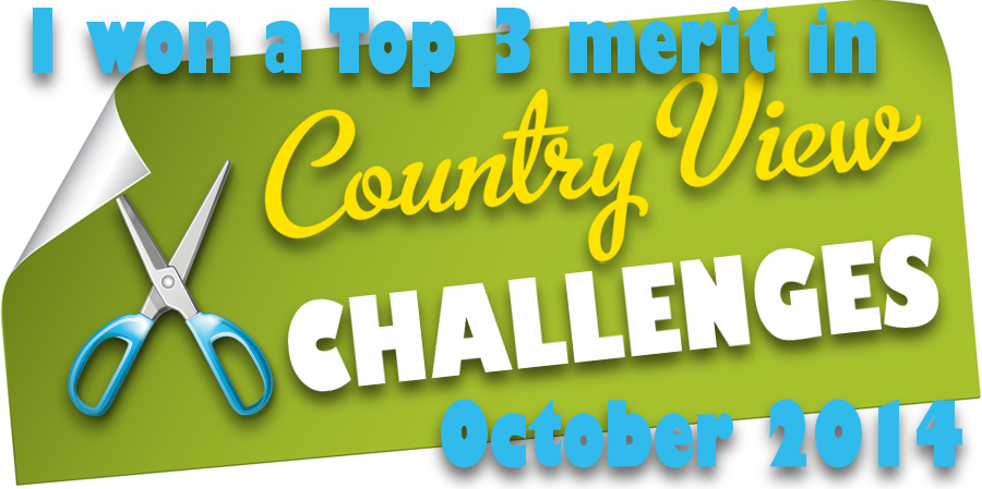 Country View Challenges