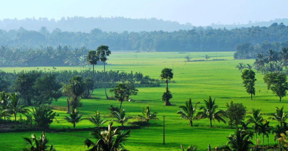Palakkad Kerala Green Beauty