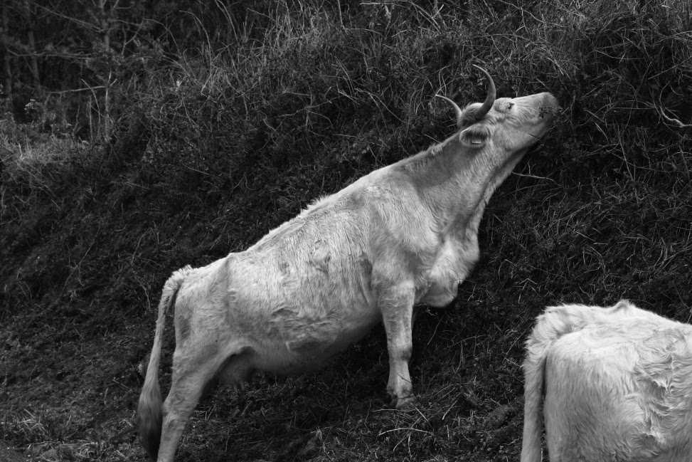 Fotografía creativa artística en blanco y negro por Munimara