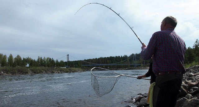 Fiske i Luleälven.