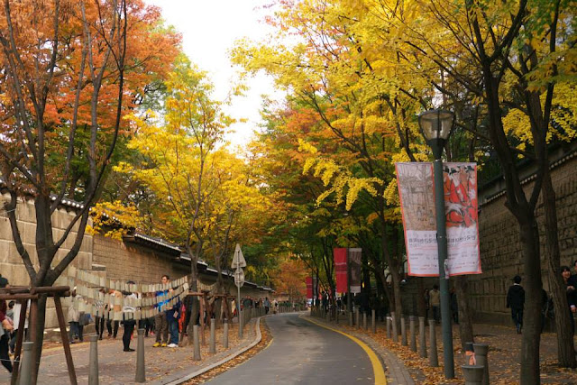 Mùa thu tại Hàn Quốc