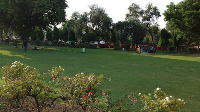 Rose Garden