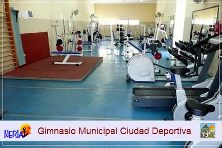 Podrá difrutar de gimnasio de la Ciudad Deportiva, previo pago de los precios públicos establecidos