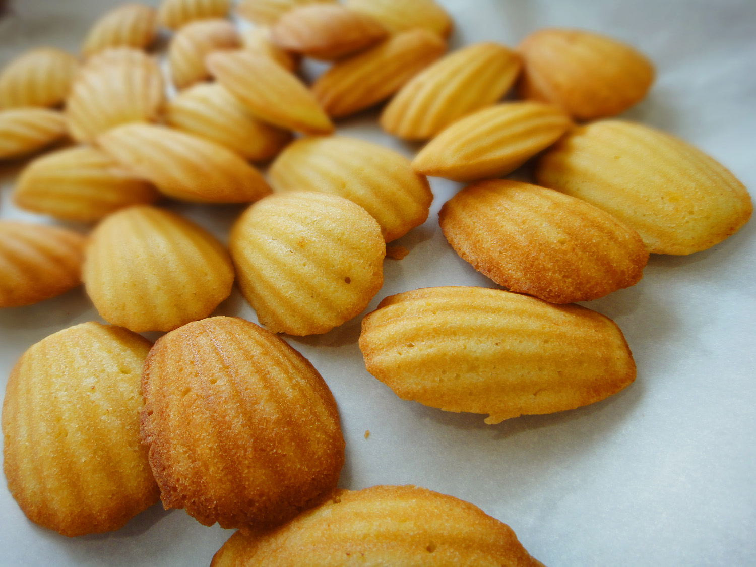 Bridewell Blog formerly Wedding Day Tree Sweet Recipe Madeleine Cookies