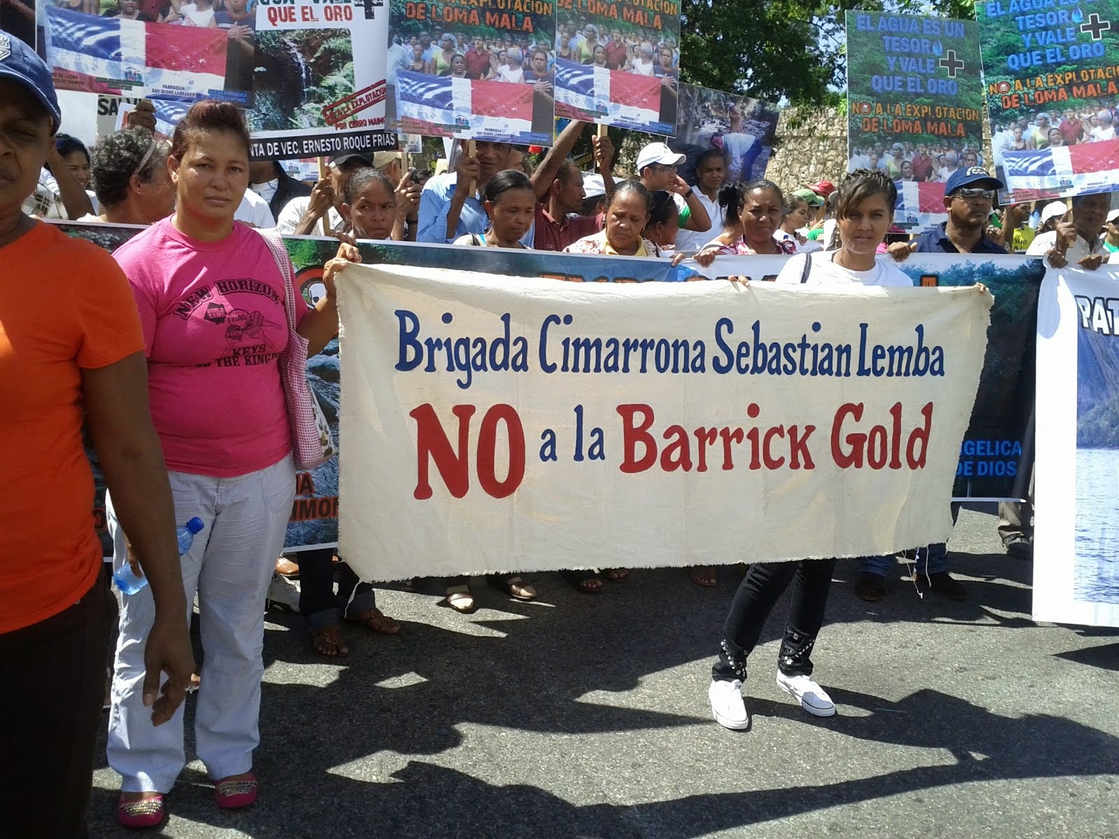 Marcha contra la mega mineria.