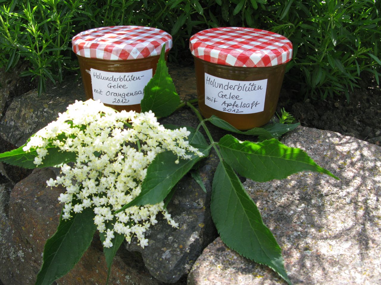 Siebensachen-zum-Selbermachen: Holunderblüten-Gelée Siebensachen-zum-Selbermachen: Holunderblüten-Gelée