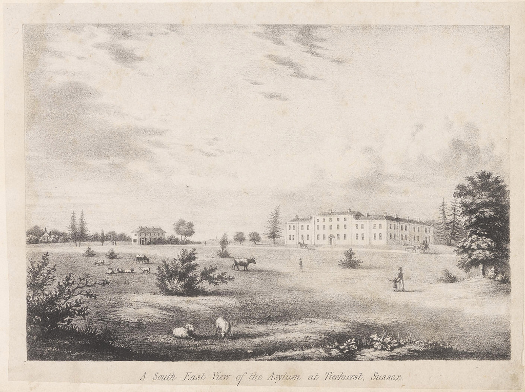 Olive Tree Genealogy Blog Featured Database Ticehurst House Hospital