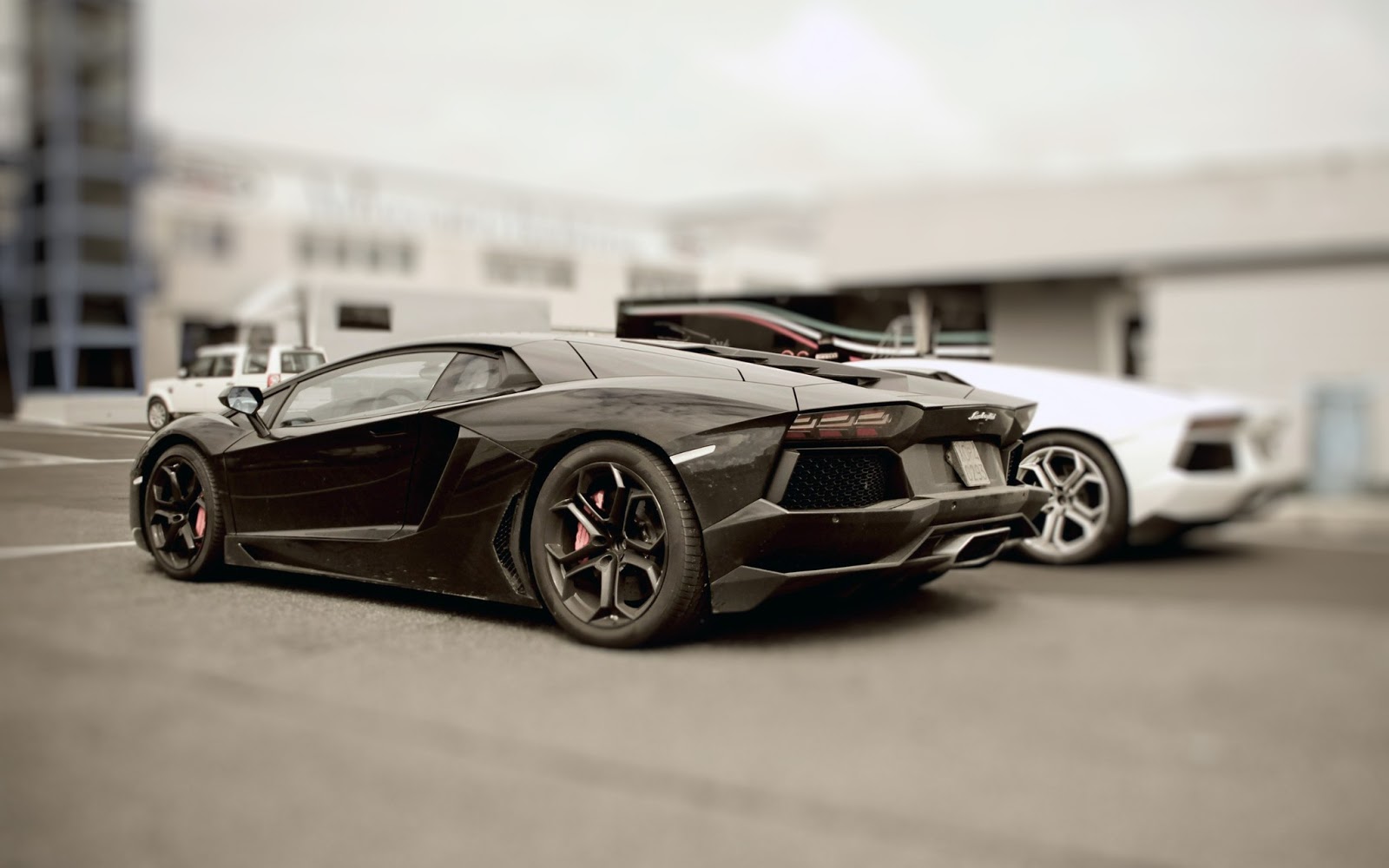 Luxury Lamborghini Cars: Lamborghini Aventador Wallpaper