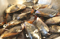 μύδια, mussels