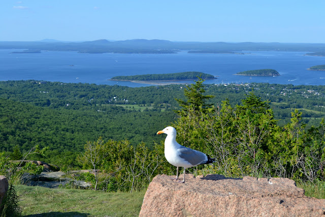 Рассвет на горе Кадиллак. Национальный парк Акадия, Мэн (Cadillac Mountain. Acadia National Park, ME)