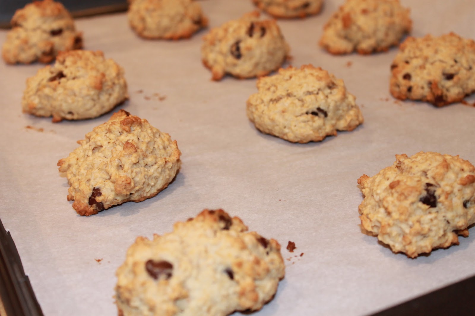 Seizing Life, One Measuring Cup At A Time BananaOatmeal Chocolate