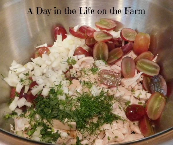 A Day in the Life on the Farm Chicken Salad with Orange and Fennel 