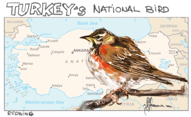 Turkey’s national bird Painting by Ulf Artmagenta
