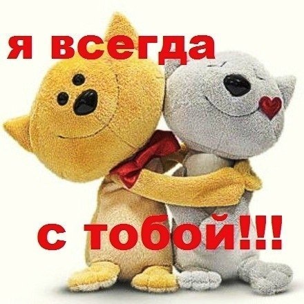 Держись подруга все будет хорошо картинки