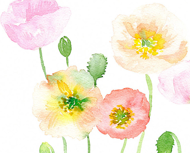 watercolor flowers by Elise Engh watercolor flowers by Elise Engh